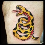 Yellow Viper